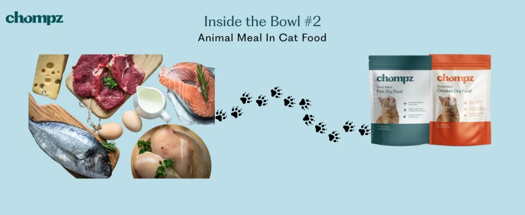 A light blue background with the Chompz logo features an assortment of animal-derived foods like cheese, eggs, fish, beef, and chicken, followed by paw prints leading to bags of cat food. The text reads: 'Inside the Bowl #2: Animal Meal in Cat Food.