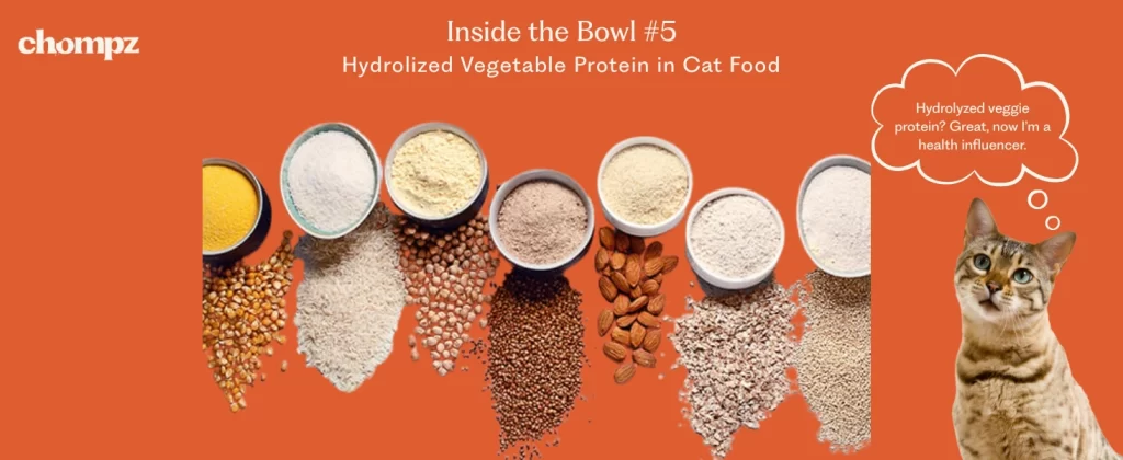 An orange background with the Chompz logo, several bowls and piles of ingredients like legumes and powder labeled as hydrolyzed vegetable protein, and a tabby cat looking up with a thought bubble that says, 'Hydrolyzed veggie protein? Great, now I’m a health influencer.' The text above reads: 'Inside the Bowl #5: Hydrolyzed Vegetable Protein in Cat Food.
