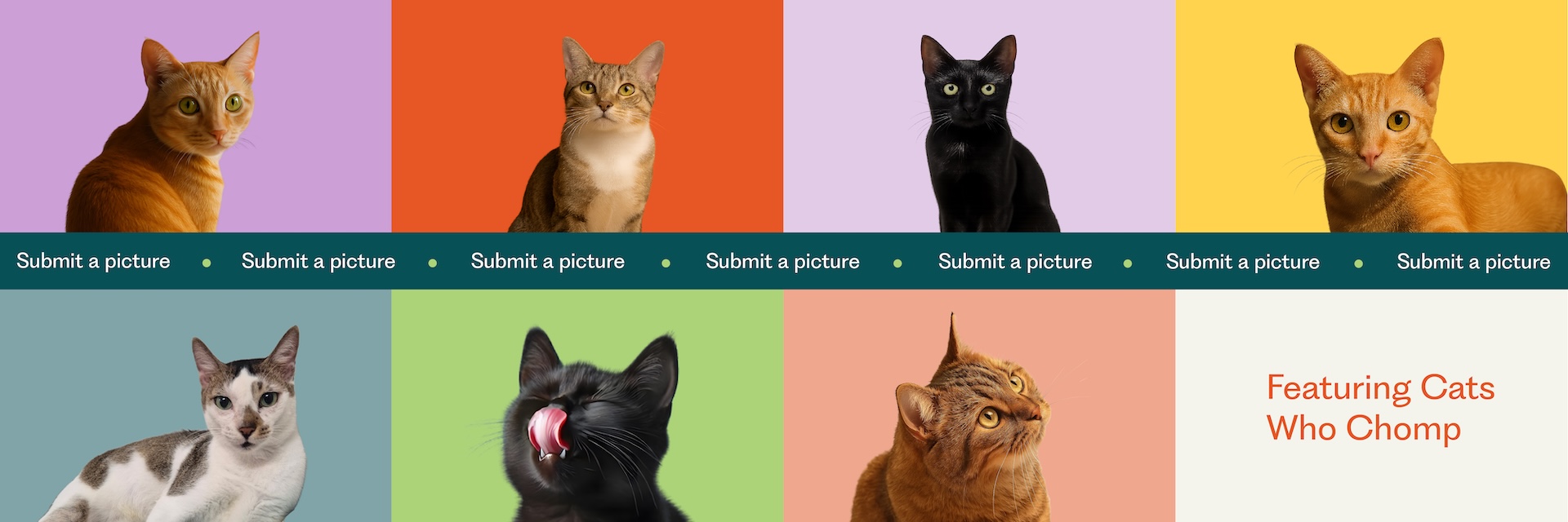 Chompz cat collage featuring various cats on vibrant backgrounds with submit-a-picture buttons and the text ‘Featuring Cats Who Chomp