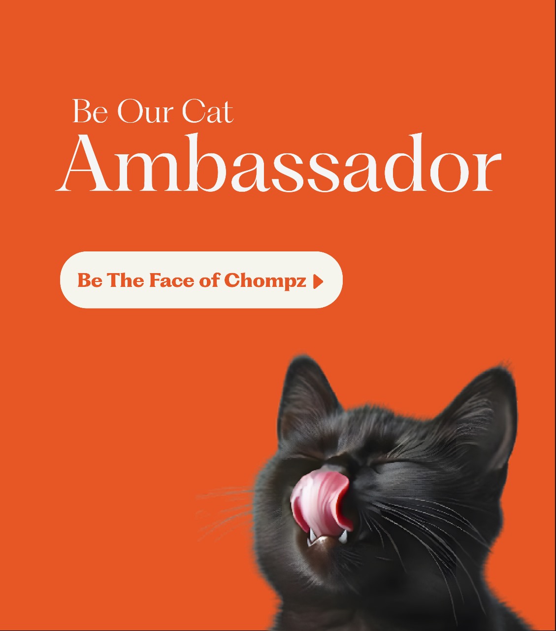 Chompz Cat Ambassador promotional banner featuring a black cat licking its nose.