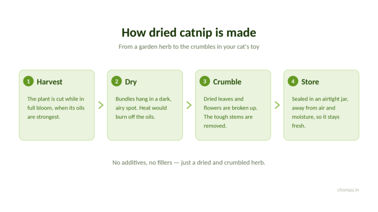 how dried catnip is made